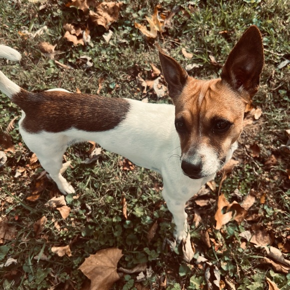 “At The End of Every Storm Is a Rainbow” - Picture 16 of 17